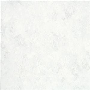 東リ ビニル床タイル フェイソールプルス サイズ 45cm×45cm 色 FPT2008 14枚セット【日本製】 - 拡大画像