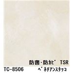 抗菌・防カビ仕様の粘着付き化粧シート ベネチアンスタッコ サンゲツ リアテック TC-8506 122cm巾×1m巻【日本製】