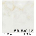 抗菌・防カビ仕様の粘着付き化粧シート マーブル サンゲツ リアテック TC-8557 122cm巾×2m巻【日本製】