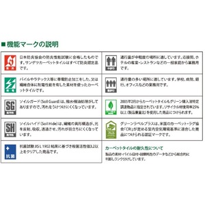 防汚性・耐候性・耐薬品性に優れたタイルカーペット サンゲツ NT-700 ベーシック サイズ:50cm×50cm 20枚セット 色番:NT-730【防炎】【日本製】 防汚性・耐候性・耐薬品性に優れたタイルカーペット サンゲツ NT-700 ベーシック サイズ:50cm×50cm 20枚セット 色番:NT-730【防炎】【日本製】