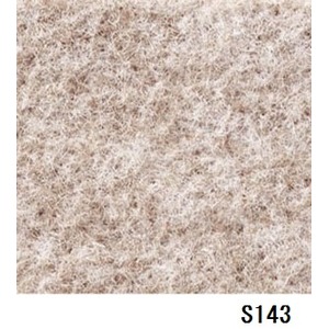 パンチカーペット サンゲツＳペットＥＣＯ色番Ｓ－１４３　９１ｃｍ巾×１ｍ - 拡大画像