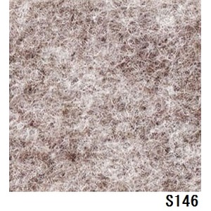 パンチカーペット サンゲツＳペットＥＣＯ色番Ｓ－１４６　９１ｃｍ巾×３ｍ - 拡大画像