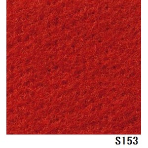 パンチカーペット サンゲツＳペットＥＣＯ色番Ｓ－１５３　９１ｃｍ巾×１ｍ - 拡大画像