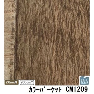 サンゲツ　店舗用クッションフロア　カラーパーケット　品番CM-1209　サイズ　200cm巾×3m