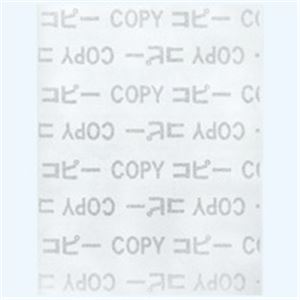コトブキ コピー偽造防止用紙 A3 1097 100枚 - 拡大画像