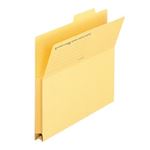 (まとめ買い）プラス 持出しフォルダー FL-061PF A4E 黄 100枚 【×3セット】