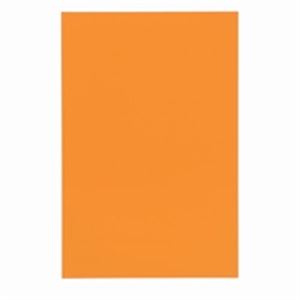 (業務用10セット) ジョインテックス マグネットシート 【ワイド/ツヤ有り】 ホワイトボード用マーカー可 橙 B210J-O-10 商品写真