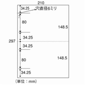 (まとめ買い）日本紙通商 カット紙 A4-2-4 2分割4穴 A4 500枚×5冊 【×2セット】