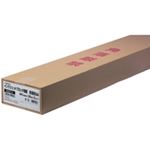 (まとめ買い）ジョインテックス プロッタ用紙 841mm幅 2本入 K037J 【×5セット】