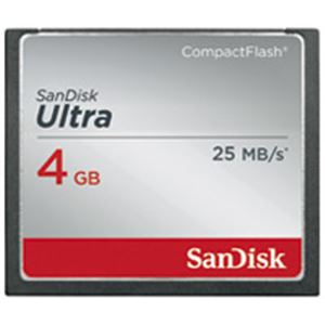 (業務用5セット) サンディスク コンパクトフラッシュSDCFHS004GJ35 4GB - 拡大画像