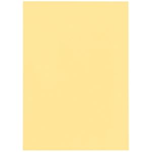 (業務用10セット) ジョインテックス カラーペーパー/コピー用紙 【A3/特厚口 500枚】 クリーム A517J-3 商品画像
