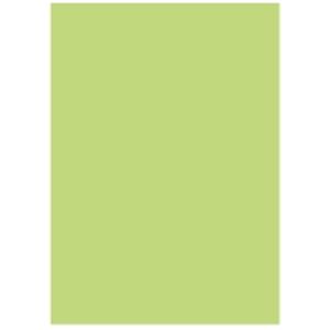 北越製紙 カラーペーパー/リサイクルコピー用紙 【A3 500枚×3冊】 日本製 グリーン(緑) - 拡大画像