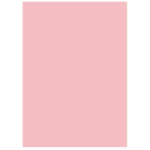 (業務用5セット) 北越製紙 カラーペーパー/リサイクルコピー用紙 【A5 500枚×10冊】 日本製 ピンク - 拡大画像