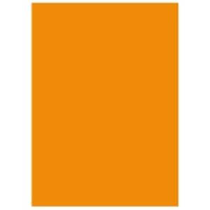 北越製紙 カラーペーパー/リサイクルコピー用紙 【A5 500枚×10冊】 日本製 オレンジ - 拡大画像