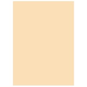 (業務用10セット) 北越製紙 カラーペーパー/リサイクルコピー用紙 【A4 500枚×5冊】 日本製 アイボリー 商品画像