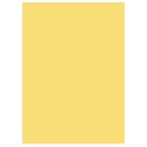 (業務用5セット) 北越製紙 カラーペーパー/リサイクルコピー用紙 【B4 500枚×5冊】 日本製 イエロー(黄) 商品画像