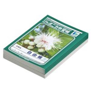(業務用30セット) ショウワノート 自由帳 JL-71 10冊入 ×30セット 商品画像