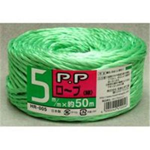 （業務用10セット）宮島化学工業 PPロープ HR-005 小巻 50m 緑 - 拡大画像