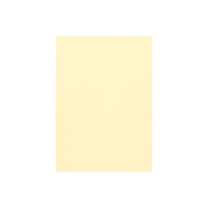 (業務用60セット) ジョインテックス カラーペーパー/コピー用紙 マルチタイプ 【B4】 500枚入り レモン A172J-6 ×60セット 商品写真