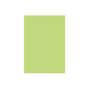 (業務用2セット) 北越製紙 カラーペーパー/リサイクルコピー用紙 【B5 500枚×5冊】 日本製 グリーン(緑) - 拡大画像