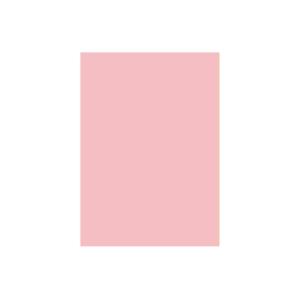 (業務用2セット) 北越製紙 カラーペーパー/リサイクルコピー用紙 【B5 500枚×5冊】 日本製 ピンク - 拡大画像