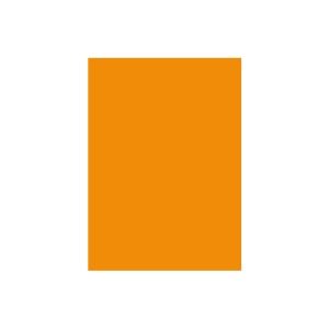 (業務用2セット) 北越製紙 カラーペーパー/リサイクルコピー用紙 【B5 500枚×5冊】 日本製 オレンジ - 拡大画像