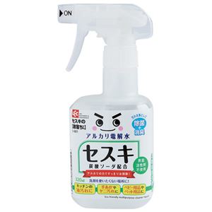 (まとめ）レック セスキの激落ちくん 320ml【×10セット】