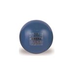 エバニュー（EVERNEW） 砲丸（鉄）DX中学男子 検定 EGC089 日本製
