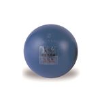 エバニュー（EVERNEW） 砲丸（鉄）DX男子 検定 EGC098 日本製