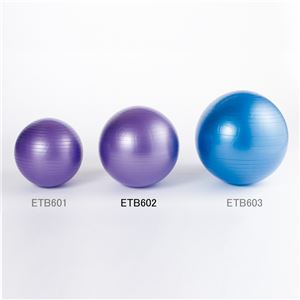エバニュー（EVERNEW） ノンバーストバランスボール65 ETB602