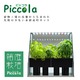 箱庭栽培　Piccola（ピッコラ） クリアタイプ 室内家庭菜園キット WF-01C - 縮小画像2