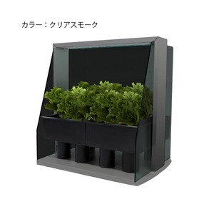 箱庭栽培　Piccola（ピッコラ） クリアスモーク 室内家庭菜園キット　WF-01S - 拡大画像