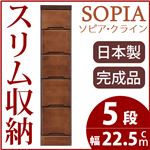 隙間収納チェスト/タンス 幅22.5cm 5段 本体：ブラウン/茶 木製 スリム家具 すきま収納 【日本製/完成品】