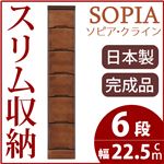 隙間収納チェスト/タンス 幅22.5cm 6段 本体：ブラウン/茶 木製 スリム家具 すきま収納 【日本製/完成品】