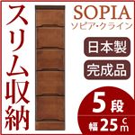 隙間収納チェスト/タンス 幅25cm 5段 本体：ブラウン/茶 木製 スリム家具 すきま収納 【日本製/完成品】