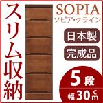 隙間収納チェスト/タンス 幅30cm 5段 本体：ブラウン/茶 木製 スリム家具 すきま収納 【日本製/完成品】