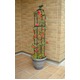 ミニオベリスク(つる植物支柱) 高さ120cm スチールパイプ 日本製 アリビオ120H 〔園芸 ガーデニング用品〕 - 縮小画像4