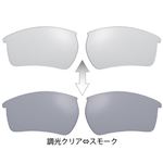 山本光学 （SWANS） サングラス L-LI2-0066 CSK