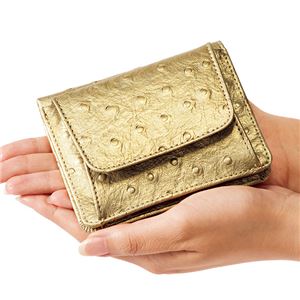 小銭も見やすい小さい牛床革財布 型押オーストリッチ ゴールド 商品画像