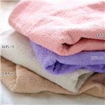 （まとめ） 日本製ふんわりホテルタイプ泉州産タオル ふじいろ 【2： ハンドタオル】【×15セット】