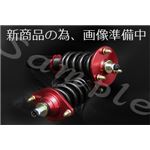 シトロエン DS3 シトロエン ／ CITROEN 全長調整式（フルタップ式）車高調整キット【減衰力 カー用品 サスペンションキット】【ラルグス／Largus Spec S】