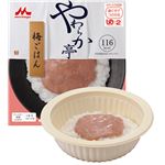 （まとめ）クリニコ 介護食 やわらか亭 梅ごはん 1個 646510【×40セット】