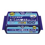 （まとめ）日本製紙クレシア おしりふき アクティ流せるたっぷり使えるオシリフキ100枚入 80622【×10セット】