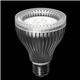 ビーム形LEDランプ（昼白色相当） ヤザワ LDR8NW - 縮小画像2