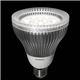 ビーム形LEDランプ（昼白色相当） ヤザワ LDR11NM - 縮小画像2