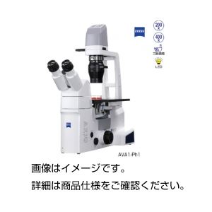 倒立型顕微鏡 AVA1-Ph1／LEDB-B - 拡大画像