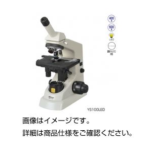 ニコン生物顕微鏡YS100LED-1K（400X - 拡大画像