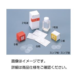(まとめ)スンプ台紙 (100枚)【×5セット】 商品画像