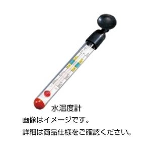 (まとめ)水温度計【×20セット】 商品画像
