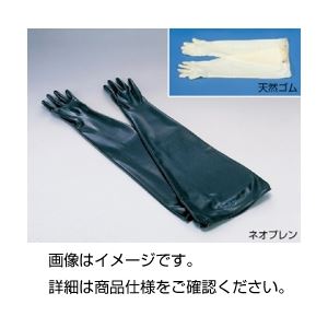 （まとめ）グローブボックス用手袋天然ゴム【×5セット】 - 拡大画像